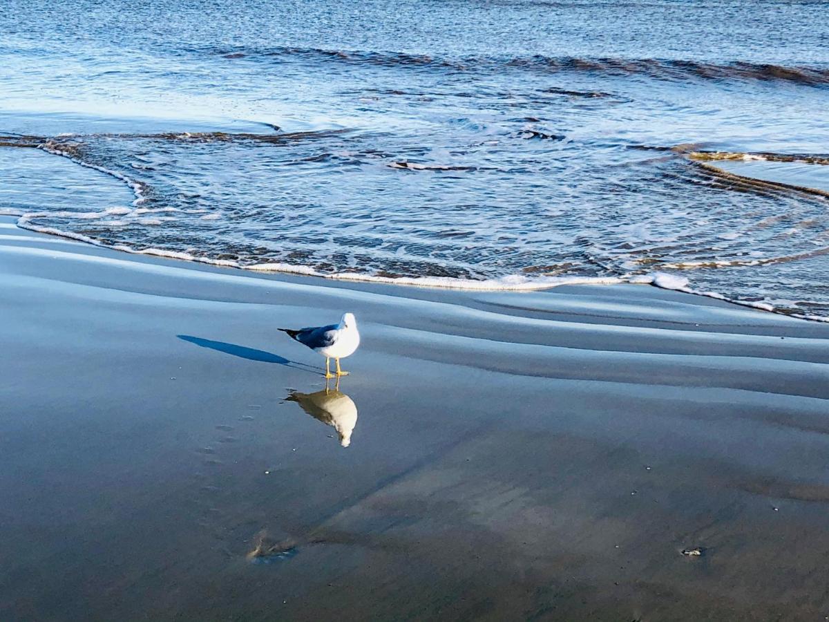 Salty Breeze At Demere Landing Unit 168 - Salt Air Dr Villa St. Simons Island Exterior foto